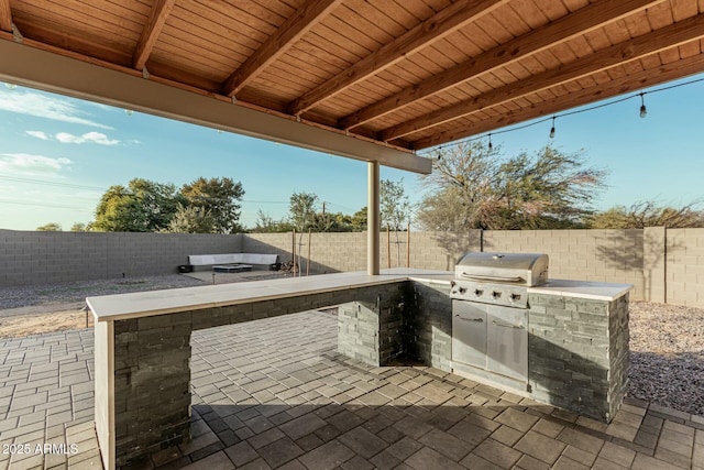 view of patio / terrace featuring grilling area and area for grilling