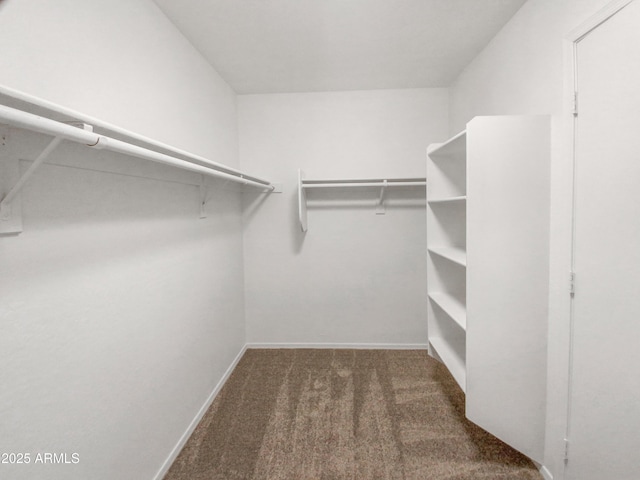 walk in closet with dark colored carpet