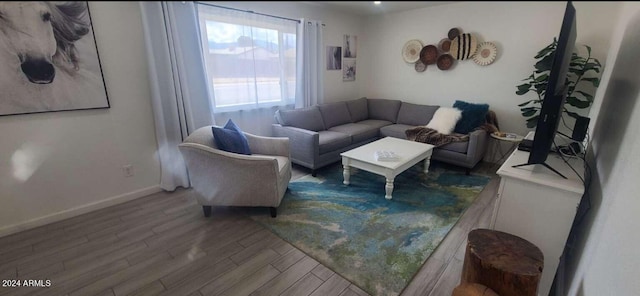 living room featuring hardwood / wood-style floors