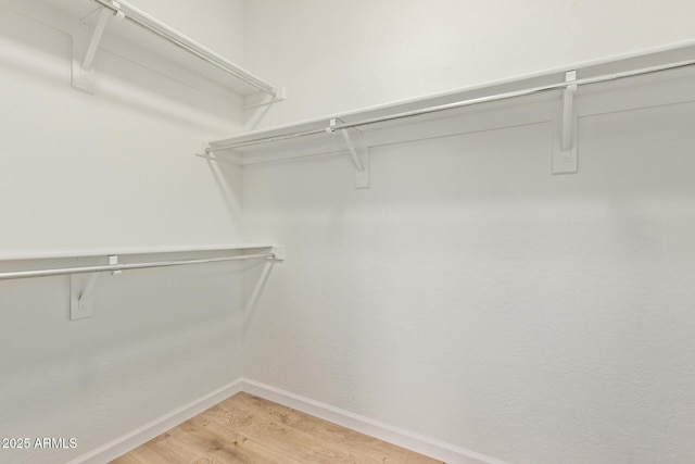 2590 S Buckaroo Trl, Gilbert, AZ 85295 - walk in closet featuring light wood finished floors