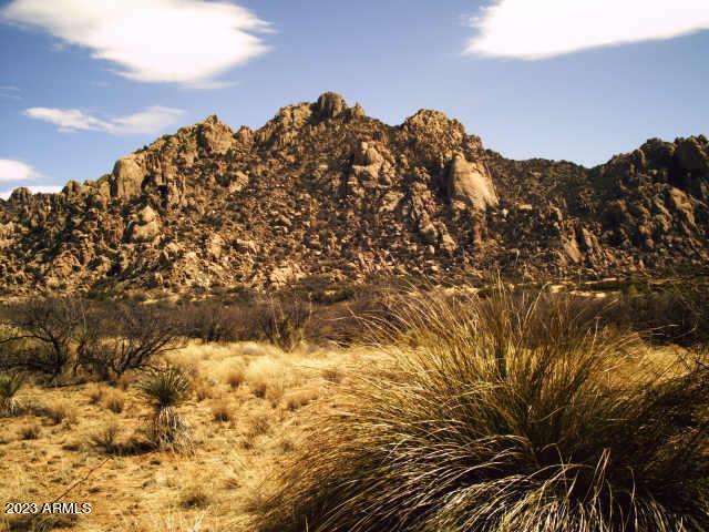 view of mountain feature