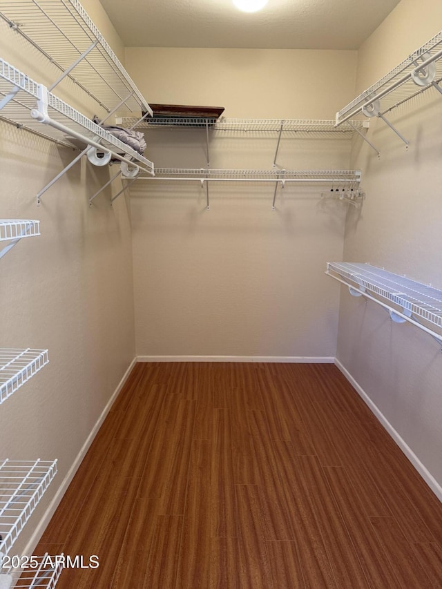 spacious closet featuring hardwood / wood-style flooring