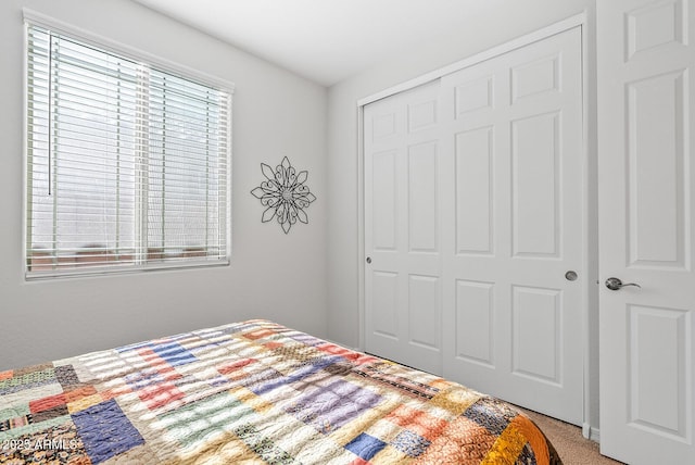 bedroom with carpet floors and a closet