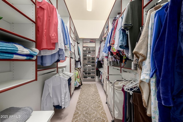 view of spacious closet