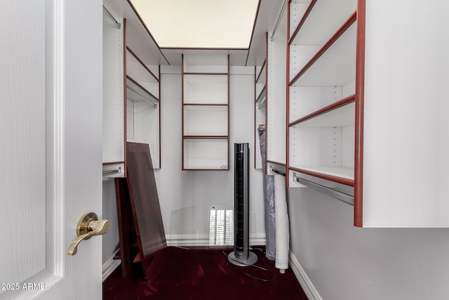 view of walk in closet