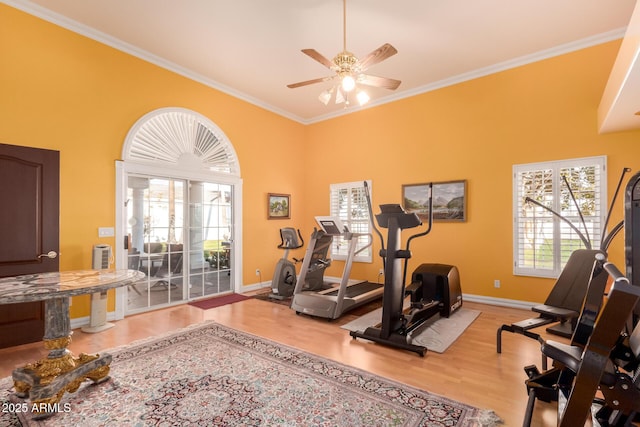 exercise room with ornamental molding, a healthy amount of sunlight, ceiling fan, and light hardwood / wood-style flooring