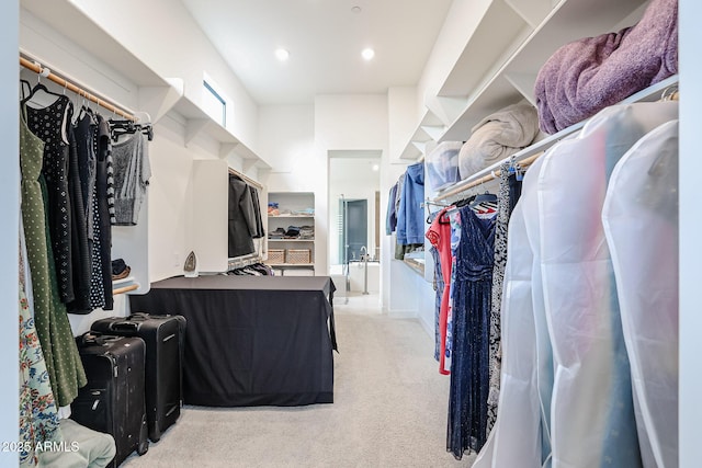 spacious closet with carpet floors