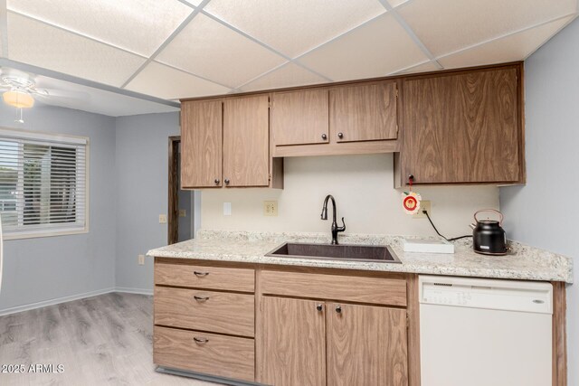 kitchen featuring a paneled ceiling, white dishwasher, sink, and light hardwood / wood-style flooring