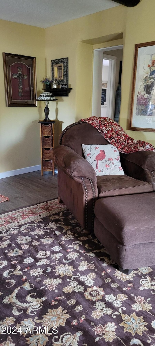 living room featuring dark hardwood / wood-style flooring