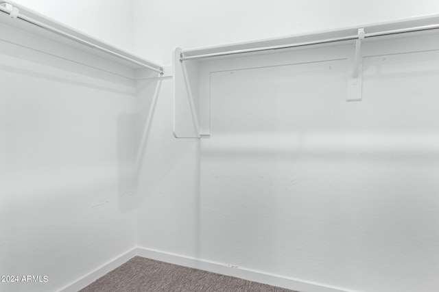 spacious closet featuring carpet floors