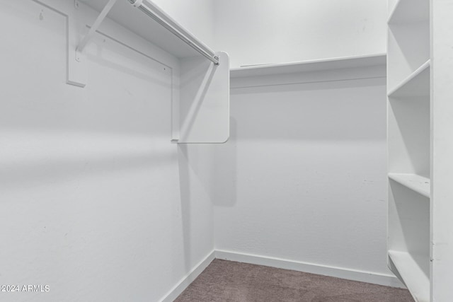 walk in closet with carpet flooring