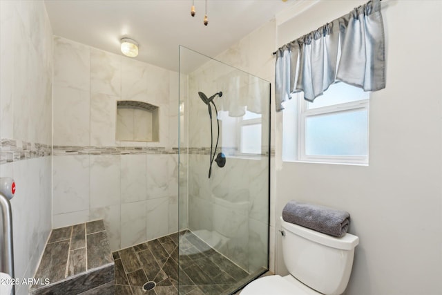 12501 E Cloud Rd, Chandler, AZ 85249 - bathroom with toilet and tiled shower