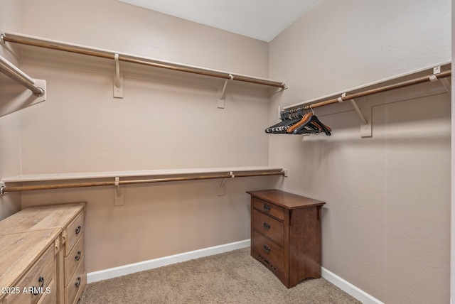 5813 E Ashler Hills Dr, Cave Creek, AZ 85331 - spacious closet with light carpet