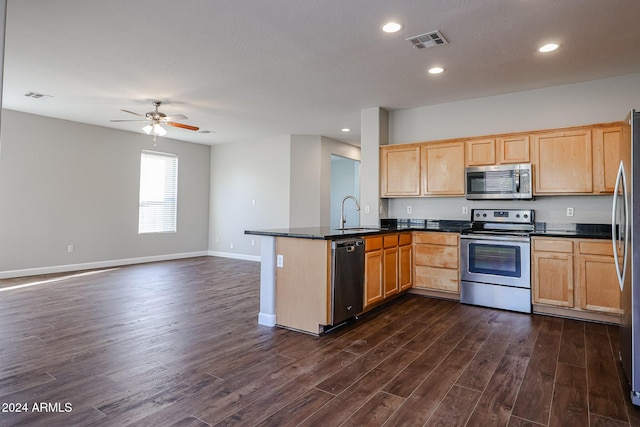 kitchen featuring ceiling fan, sink, dark wood-type flooring, kitchen peninsula, and appliances with stainless steel finishes