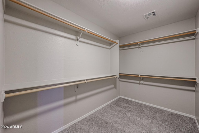 spacious closet with carpet floors