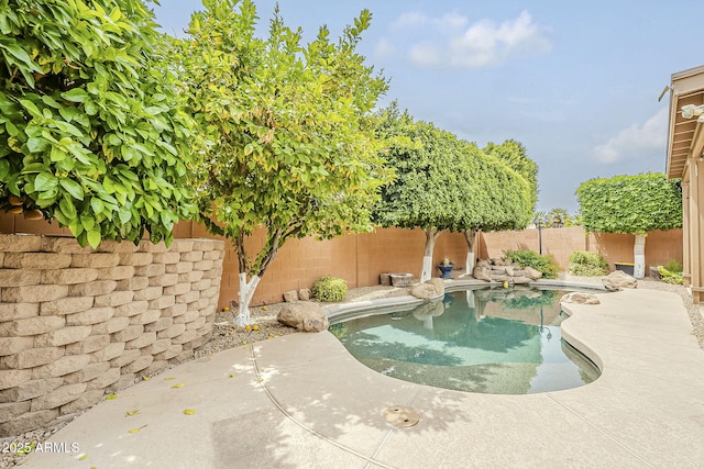 1391 W Windhaven Ave, Gilbert, AZ 85233 - view of pool featuring a fenced backyard and a patio area