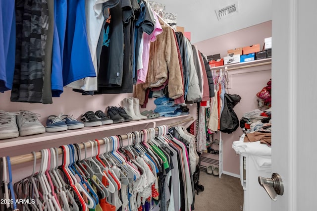 2016 S 102nd Ln, Tolleson, AZ 85353 - walk in closet with carpet