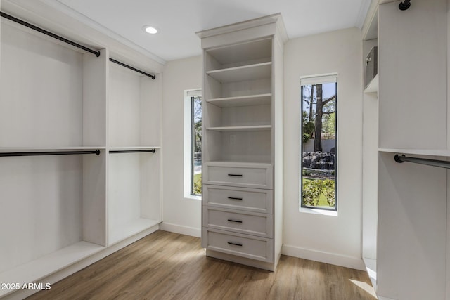 walk in closet with wood finished floors