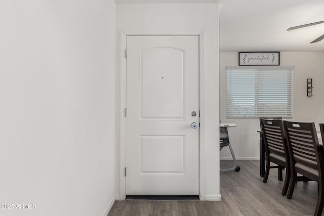 doorway featuring ceiling fan and dark hardwood / wood-style flooring