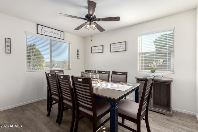 dining room featuring wood-type flooring and ceiling fan