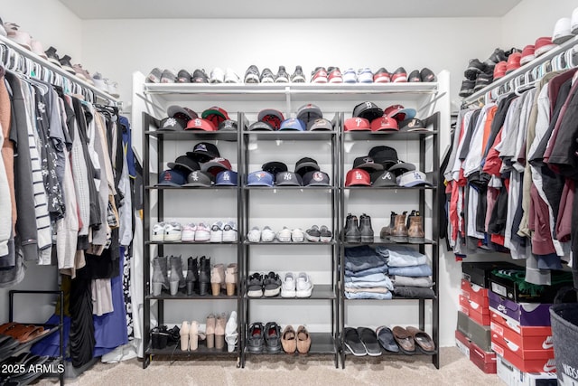 walk in closet featuring carpet floors