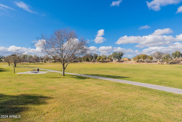 view of community featuring a lawn