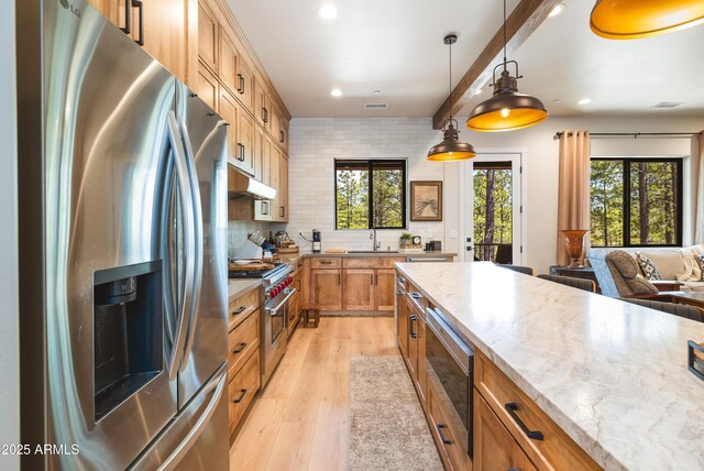 2582 S Cottonrose Ln, Flagstaff, AZ 86001 - kitchen with appliances with stainless steel finishes, under cabinet range hood, a sink, light wood-style floors, and recessed lighting