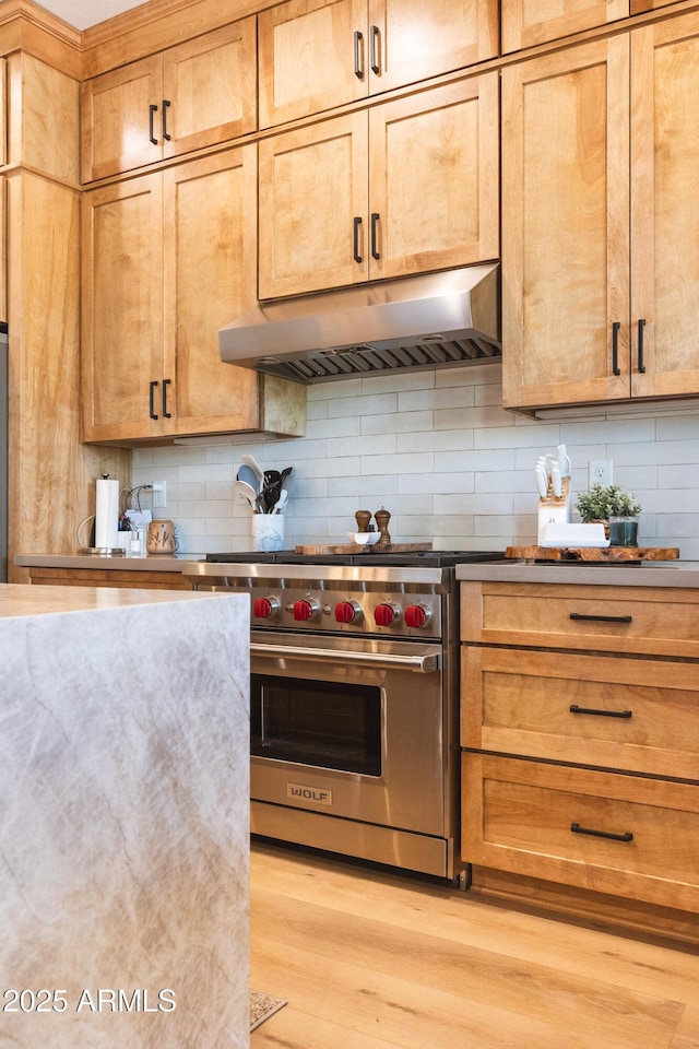 2582 S Cottonrose Ln, Flagstaff, AZ 86001 - kitchen with under cabinet range hood, designer stove, light wood-style floors, and tasteful backsplash