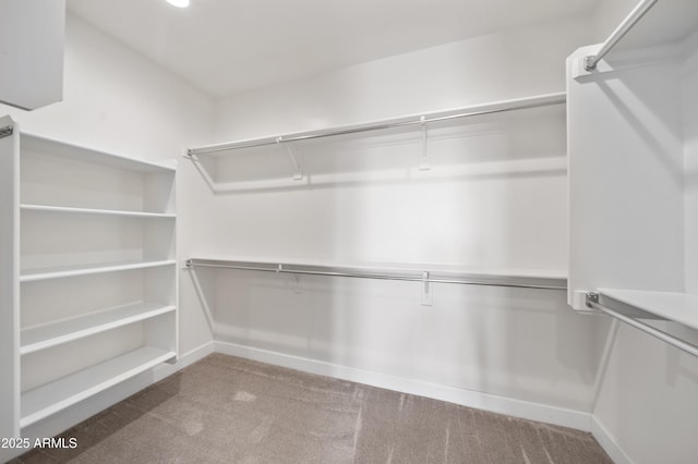 spacious closet featuring carpet