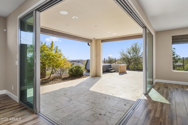 doorway featuring wood-type flooring, a mountain view, and plenty of natural light