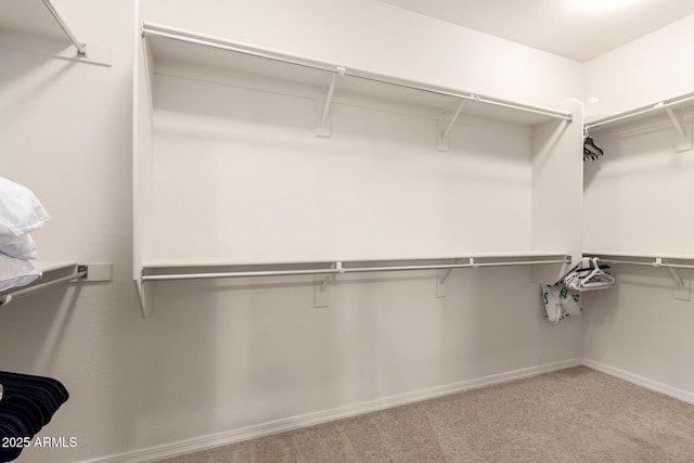 spacious closet featuring carpet flooring