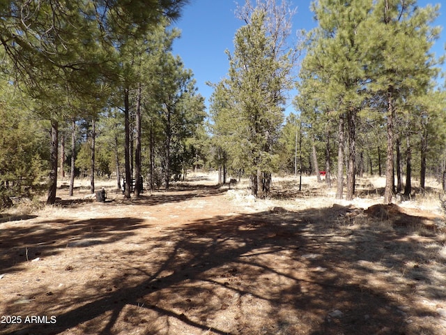 3900 Morning View Dr Unit 47, Happy Jack, AZ 86024