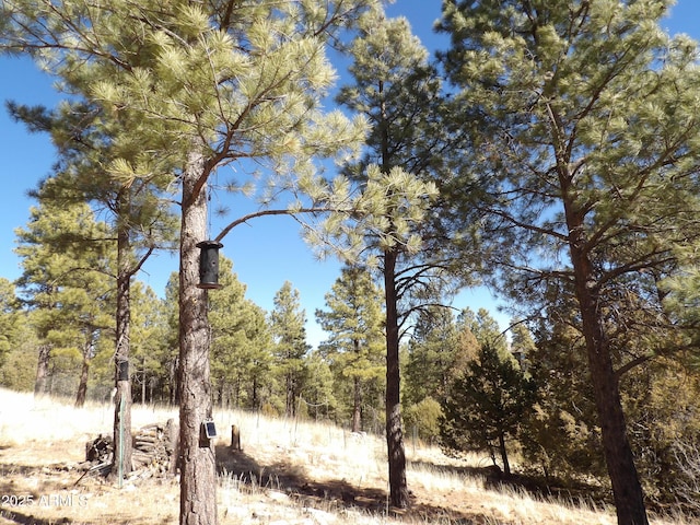 3900 Morning View Dr Unit 47, Happy Jack, AZ 86024