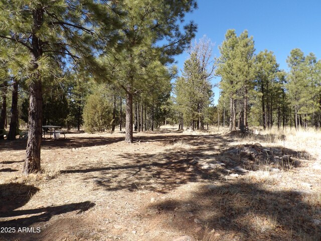 3900 Morning View Dr Unit 47, Happy Jack, AZ 86024