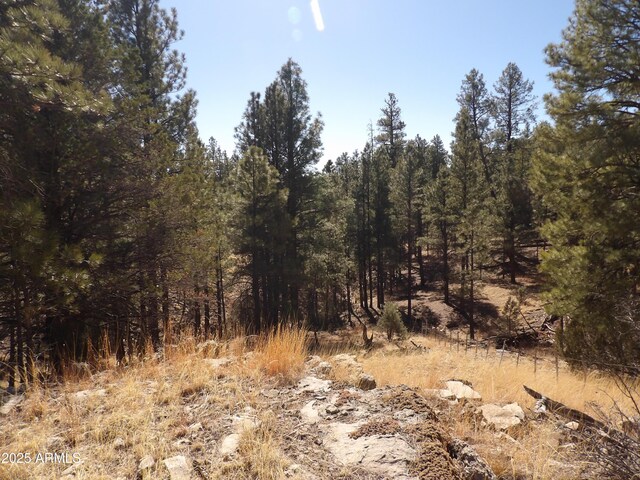 3900 Morning View Dr Unit 47, Happy Jack, AZ 86024