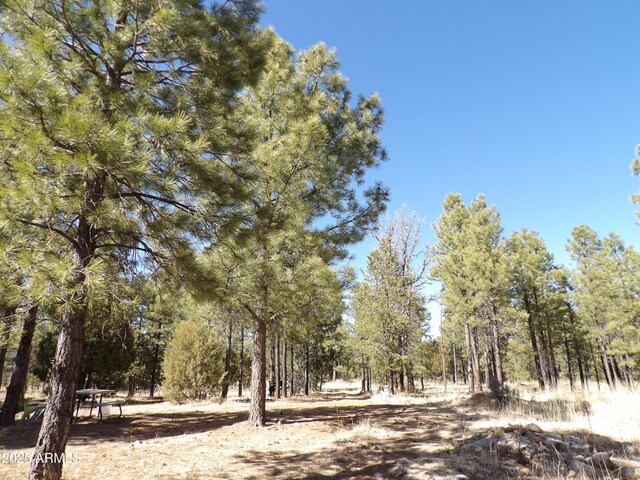 3900 Morning View Dr Unit 47, Happy Jack, AZ 86024