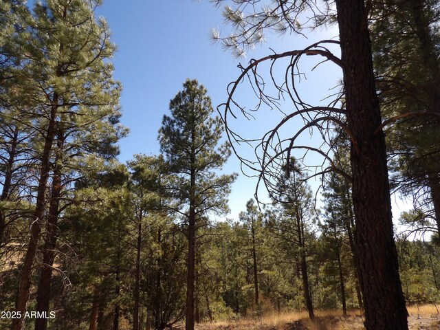 3900 Morning View Dr Unit 47, Happy Jack, AZ 86024