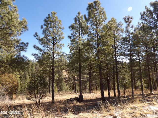 3900 Morning View Dr Unit 47, Happy Jack, AZ 86024