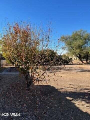22744 E Carla Vista Dr, Mesa, AZ 85212 - view of yard