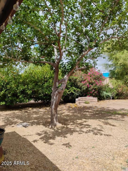 22744 E Carla Vista Dr, Mesa, AZ 85212 - view of yard