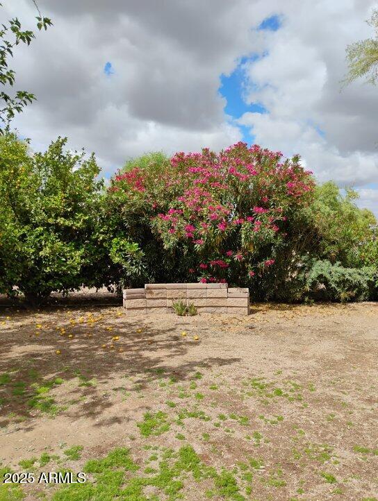 22744 E Carla Vista Dr, Mesa, AZ 85212 - view of yard