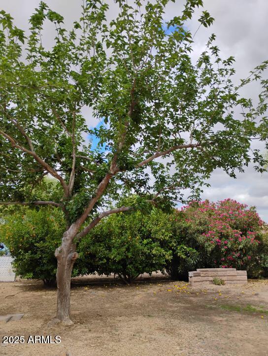 22744 E Carla Vista Dr, Mesa, AZ 85212 - view of yard