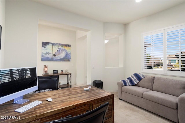 office space with light colored carpet