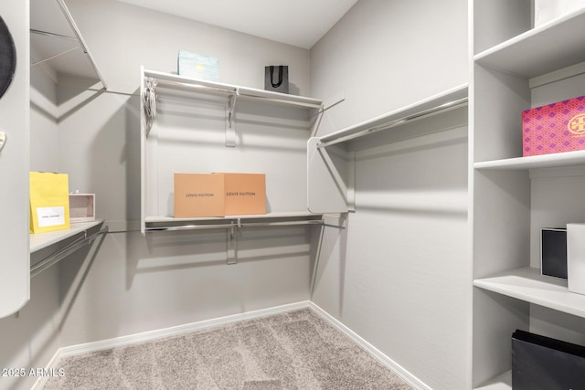 3910 E Turley St, Gilbert, AZ 85295 - walk in closet featuring carpet