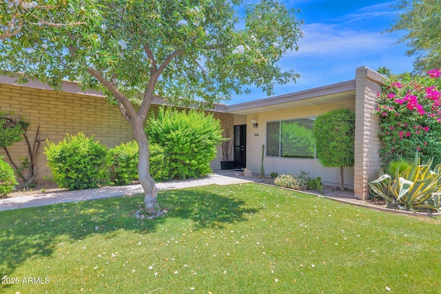 4800 N 68th St Unit 101, Scottsdale, AZ 85251 - view of front facade featuring a front lawn and stucco siding