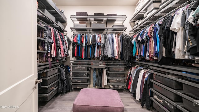 spacious closet featuring wood finished floors