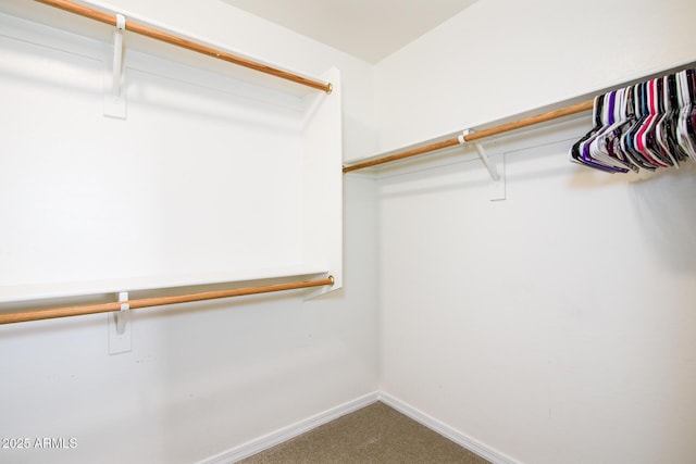 spacious closet with carpet floors