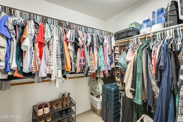 view of spacious closet