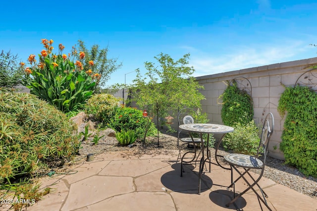 6145 S Adelle, Mesa, AZ 85212 - view of patio