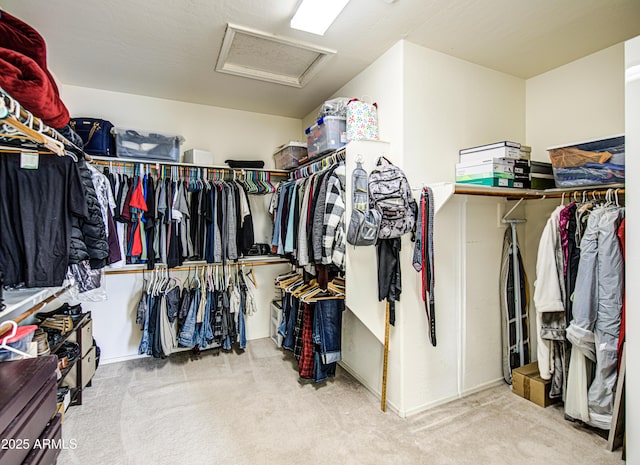 walk in closet featuring carpet floors and attic access